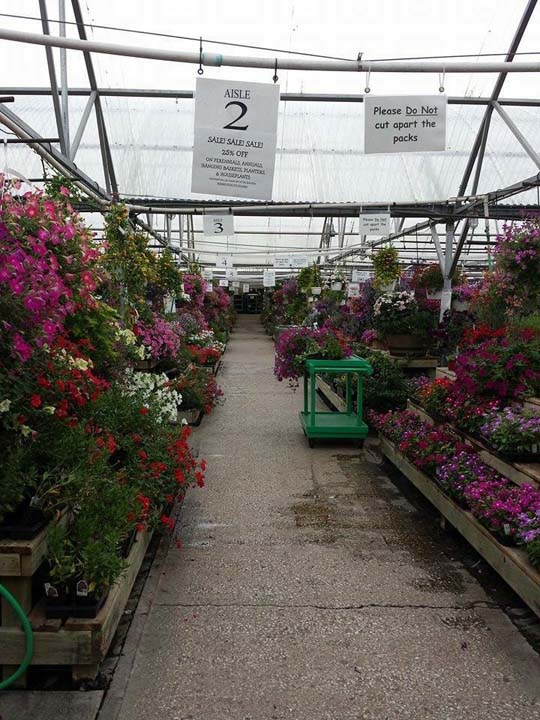 Cox�s Plant Farm Clayton, IN